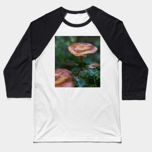 Beautiful watery mushrooms in a bed of green muss in a forest. Baseball T-Shirt